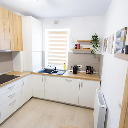 דירה B&v 203 Coresi - Modern Flat With Parking בראשוב
