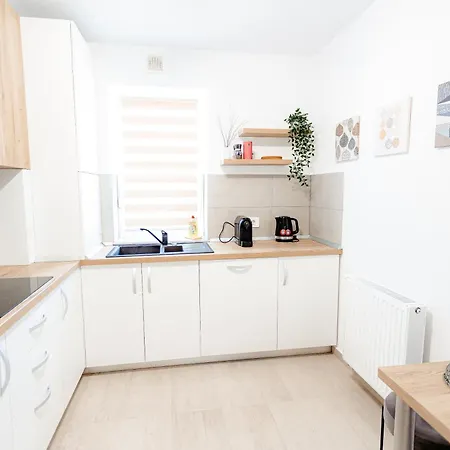 B&v 203 Coresi - Modern Flat With Parking בראשוב