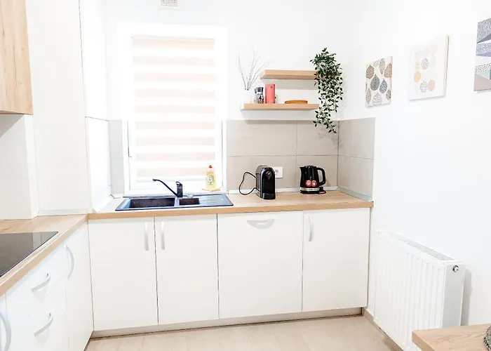 Apart B&V 203 Coresi - Stylish Apartment Near Mall Braşov